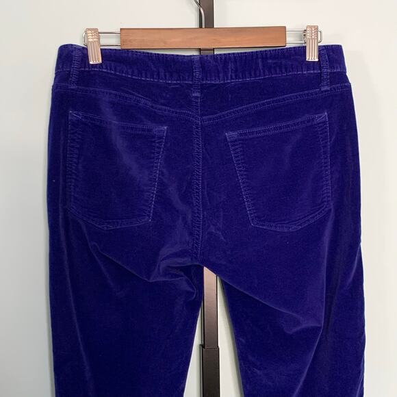 GAP 1969 Velvet Always Skinny Skimmer Pants in Becca Blue Size 31R - Picture 7 of 8